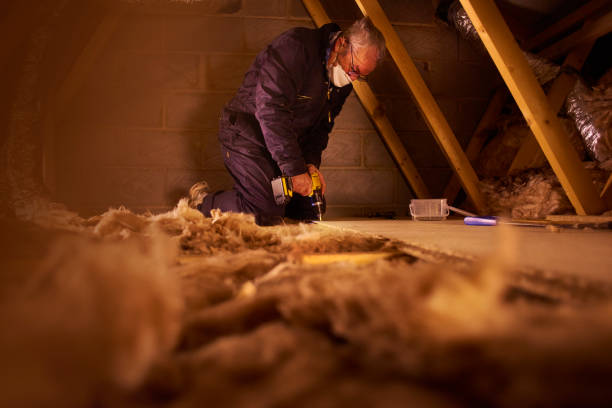 Best Insulation for Existing Homes  in West Unity, OH